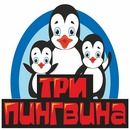 Детский оздоровительный центр «Три Пингвина»