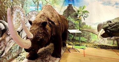 Интерактивная выставка «Эра древних гигантов» в Абакане
